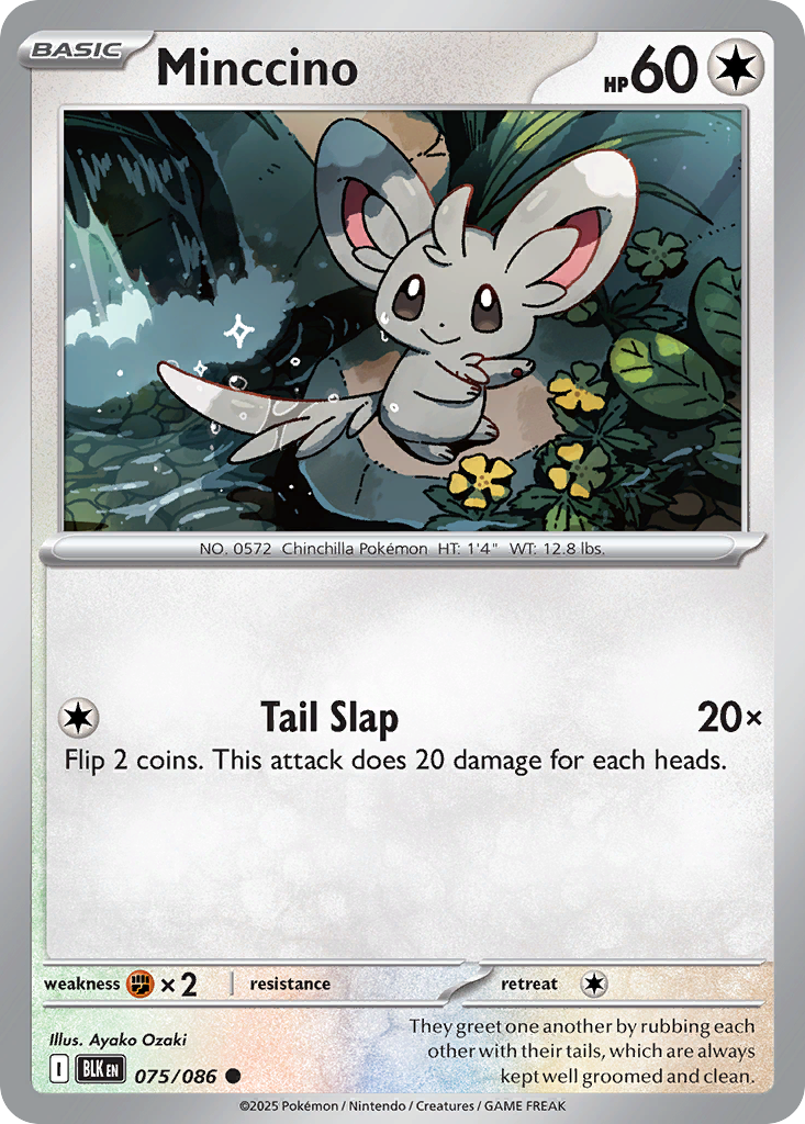 Minccino - Black Bolt - 075