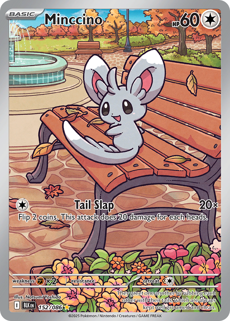 Minccino - Black Bolt - 152