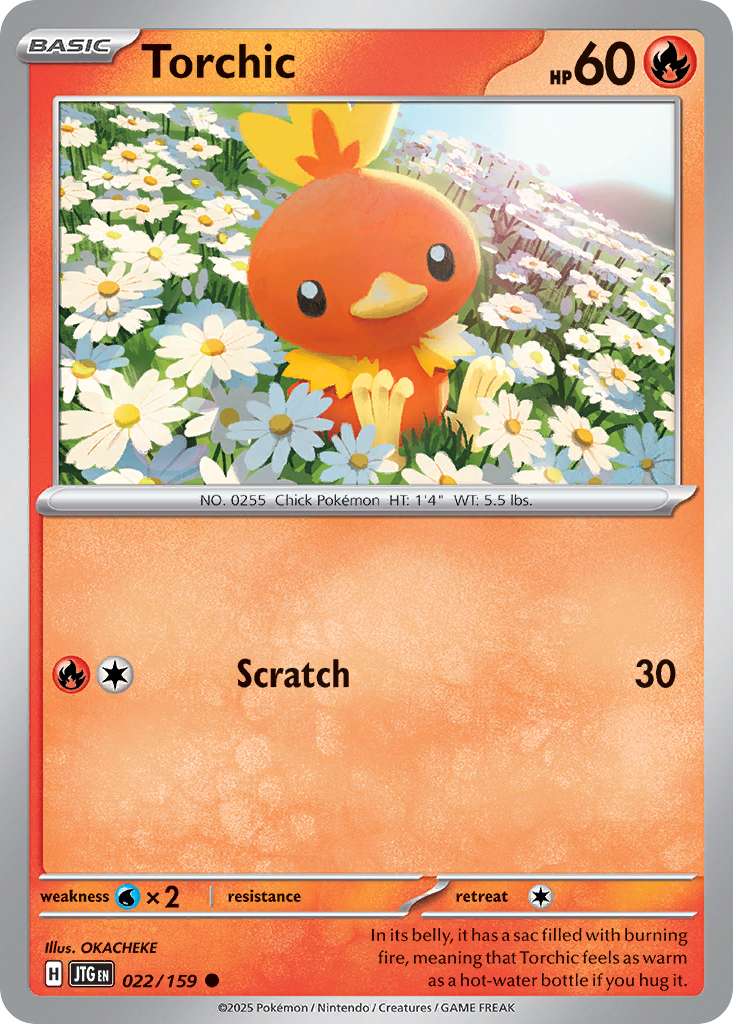 Torchic - Journey Together - 022