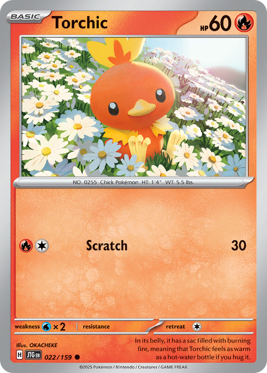 Torchic - Journey Together - 022