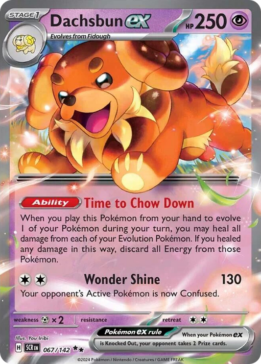 Dachsbun ex - Stellar Crown - 067