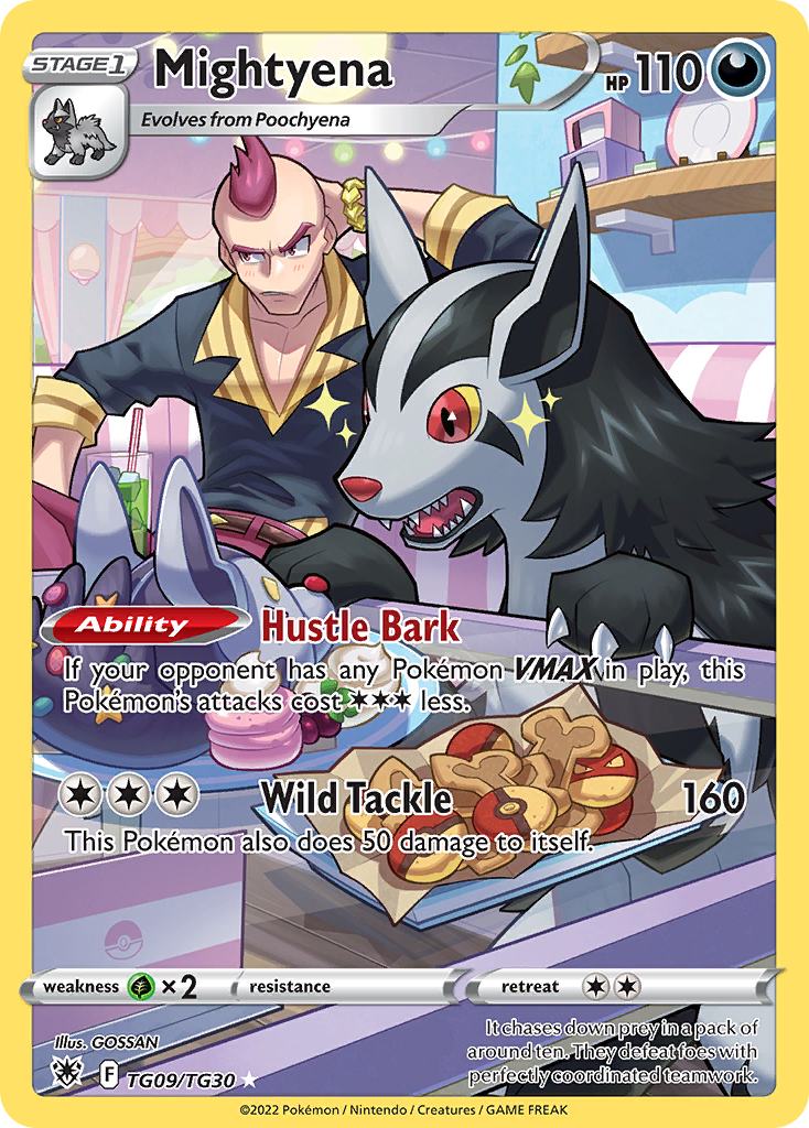 Mightyena - Astral Radiance Trainer Gallery - TG09